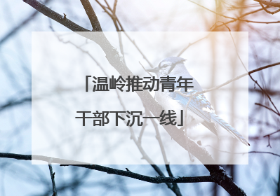 温岭推动青年干部下沉一线