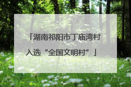 湖南祁阳市丁庙湾村入选“全国文明村”