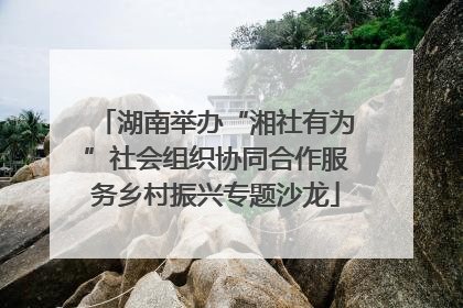湖南举办“湘社有为”社会组织协同合作服务乡村振兴专题沙龙