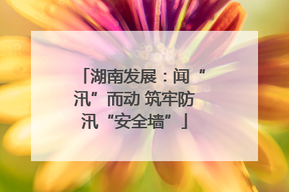 湖南发展：闻“汛”而动 筑牢防汛“安全墙”