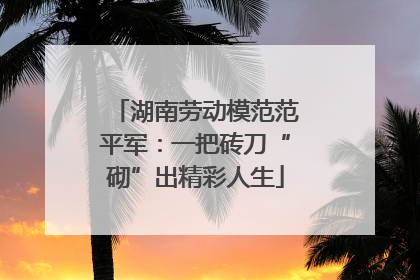 湖南劳动模范范平军：一把砖刀“砌”出精彩人生
