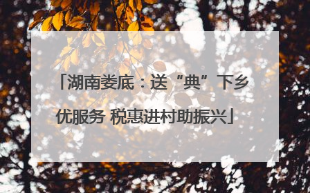 湖南娄底：送“典”下乡优服务 税惠进村助振兴