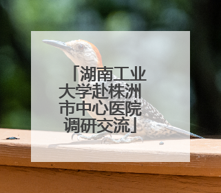湖南工业大学赴株洲市中心医院调研交流