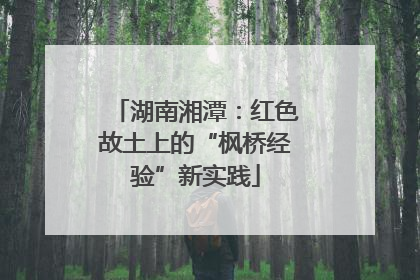 湖南湘潭：红色故土上的“枫桥经验”新实践