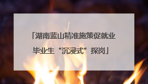 湖南蓝山精准施策促就业 毕业生“沉浸式”探岗
