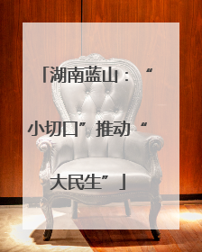 湖南蓝山：“小切口”推动“大民生”