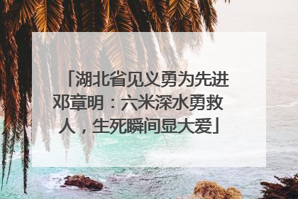 湖北省见义勇为先进邓章明：六米深水勇救人，生死瞬间显大爱