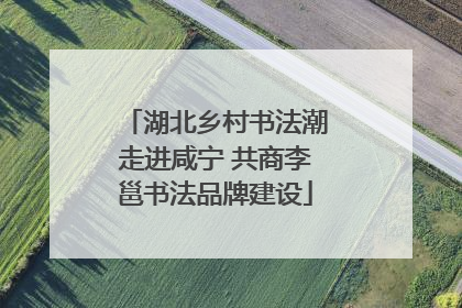 湖北乡村书法潮走进咸宁 共商李邕书法品牌建设