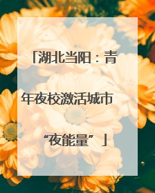 湖北当阳：青年夜校激活城市“夜能量”