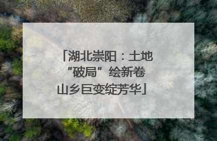 湖北崇阳：土地“破局”绘新卷 山乡巨变绽芳华