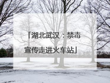 湖北武汉：禁毒宣传走进火车站