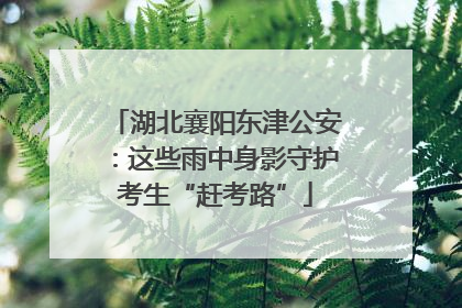湖北襄阳东津公安：这些雨中身影守护考生“赶考路”