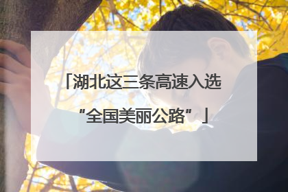 湖北这三条高速入选“全国美丽公路”