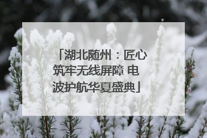 湖北随州：匠心筑牢无线屏障 电波护航华夏盛典