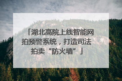 湖北高院上线智能网拍预警系统，打造司法拍卖“防火墙”