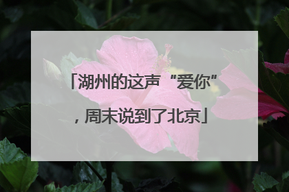 湖州的这声“爱你”，周末说到了北京