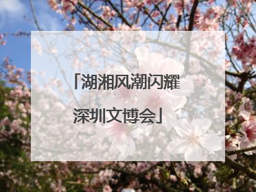湖湘风潮闪耀深圳文博会