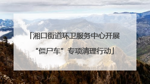 湘口街道环卫服务中心开展“僵尸车”专项清理行动