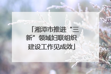 湘潭市推进“三新”领域妇联组织建设工作见成效