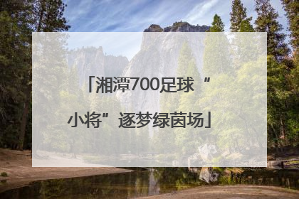 湘潭700足球“小将”逐梦绿茵场