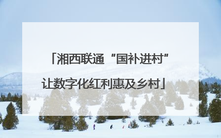 湘西联通“国补进村”让数字化红利惠及乡村