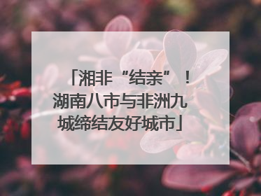 湘非“结亲”！湖南八市与非洲九城缔结友好城市