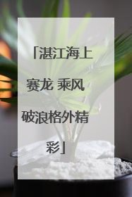 湛江海上赛龙 乘风破浪格外精彩