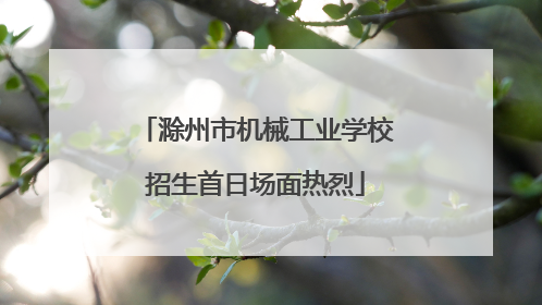 滁州市机械工业学校招生首日场面热烈