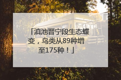 滇池晋宁段生态蝶变，鸟类从89种增至175种！