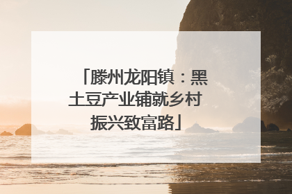 滕州龙阳镇：黑土豆产业铺就乡村振兴致富路