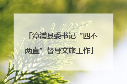漳浦县委书记“四不两直”督导文旅工作