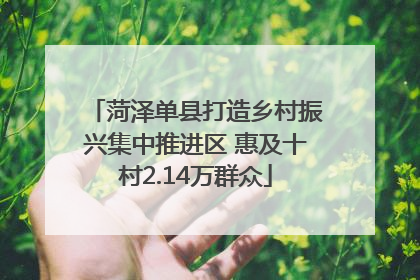 菏泽单县打造乡村振兴集中推进区 惠及十村2.14万群众