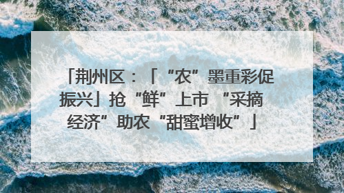 荆州区：「“农”墨重彩促振兴」抢“鲜”上市 “采摘经济”助农“甜蜜增收”