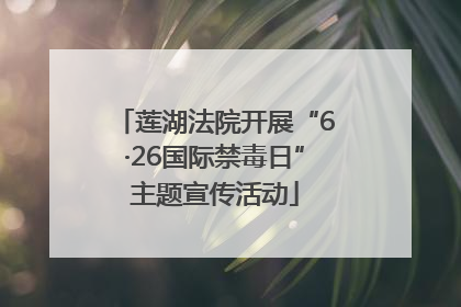 莲湖法院开展“6·26国际禁毒日”主题宣传活动
