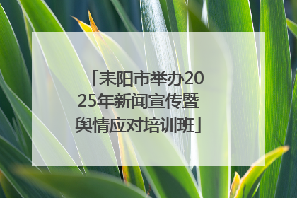 耒阳市举办2025年新闻宣传暨舆情应对培训班