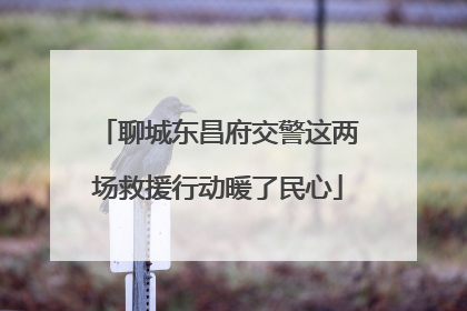 聊城东昌府交警这两场救援行动暖了民心