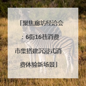 聚焦廊坊经洽会：6街16巷消费市集搭建沉浸式消费体验新场景