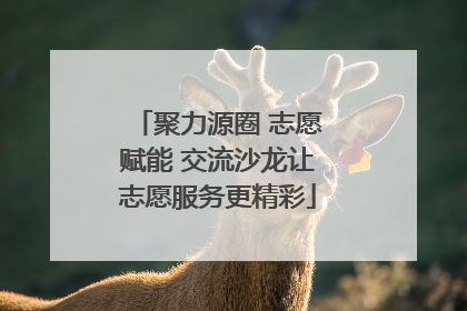 聚力源圈 志愿赋能 交流沙龙让志愿服务更精彩