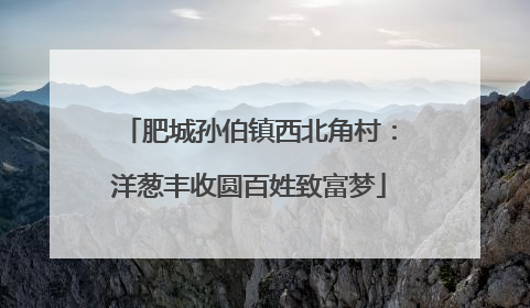 肥城孙伯镇西北角村：洋葱丰收圆百姓致富梦