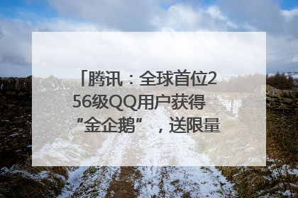 腾讯：全球首位256级QQ用户获得“金企鹅”，送限量版神秘惊喜等礼物