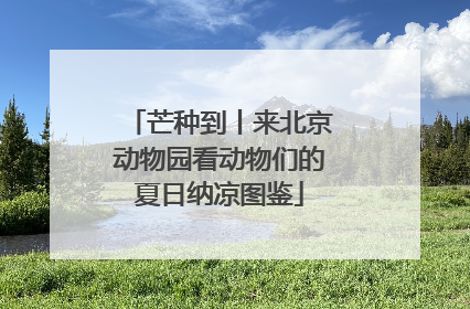 芒种到丨来北京动物园看动物们的夏日纳凉图鉴