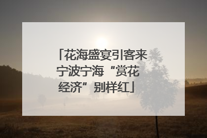 花海盛宴引客来 宁波宁海“赏花经济”别样红