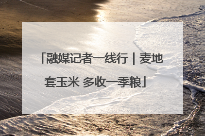 融媒记者一线行｜麦地套玉米 多收一季粮