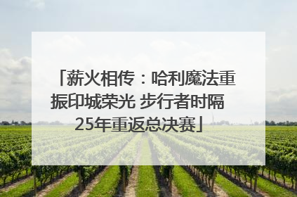 薪火相传：哈利魔法重振印城荣光 步行者时隔25年重返总决赛