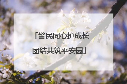 警民同心护成长 团结共筑平安园