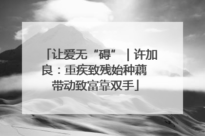 让爱无“碍”｜许加良：重疾致残始种藕 带动致富靠双手