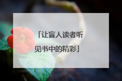让盲人读者听见书中的精彩