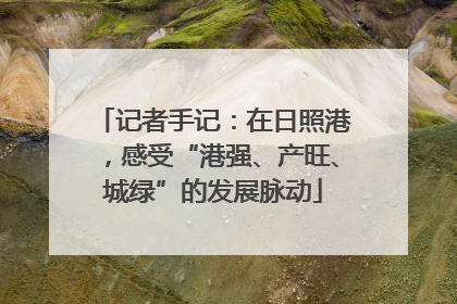 记者手记：在日照港，感受“港强、产旺、城绿”的发展脉动