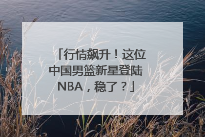 行情飙升！这位中国男篮新星登陆NBA，稳了？