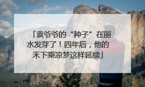袁爷爷的“种子”在丽水发芽了！四年后，他的禾下乘凉梦这样延续